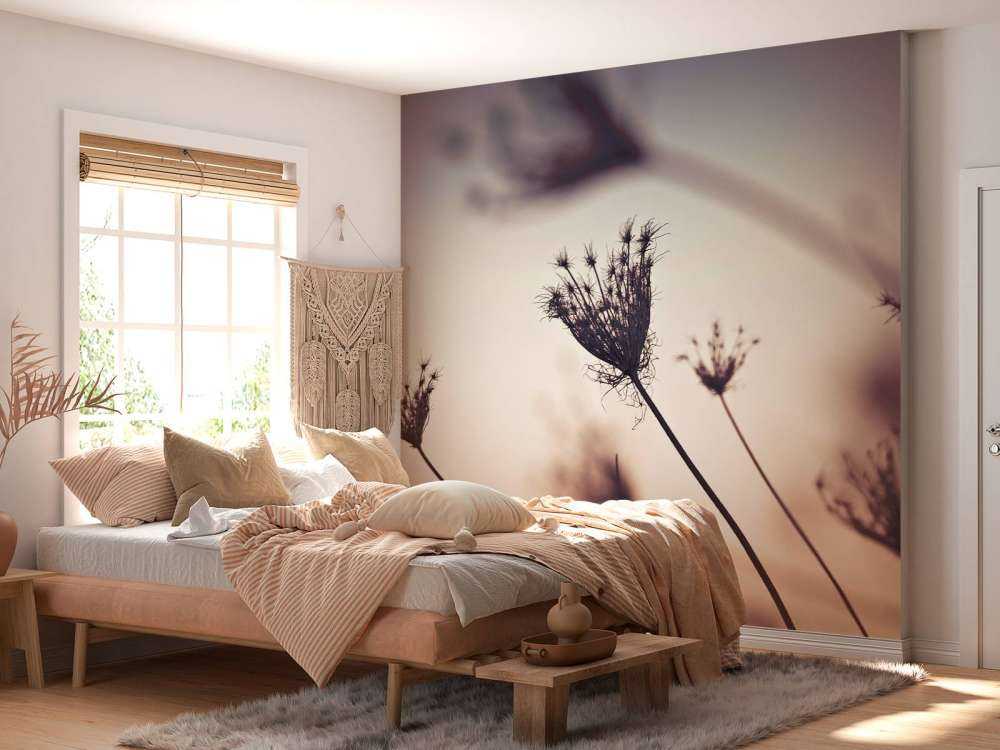 Reflet de plantes