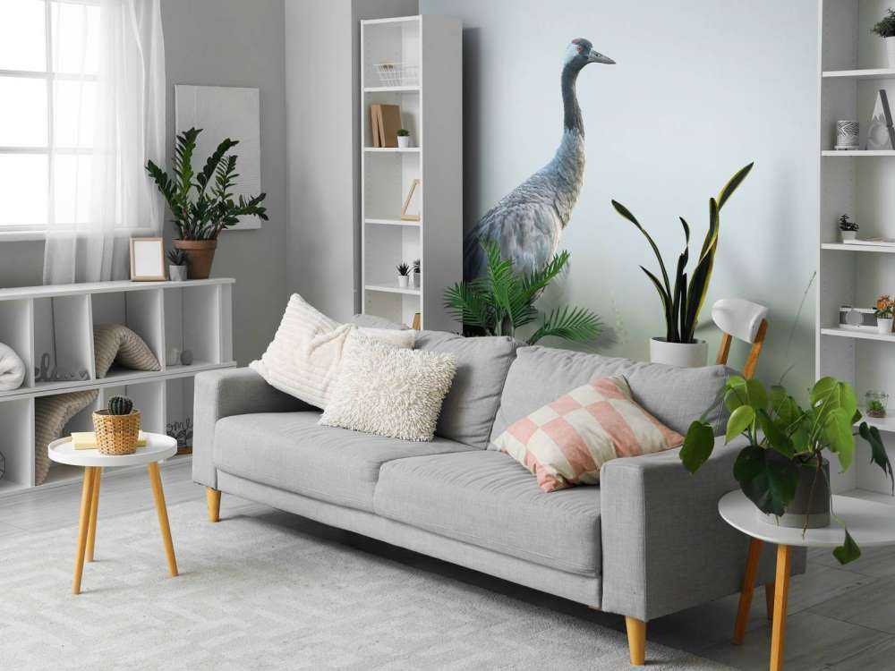 Grue dans la brume du matin