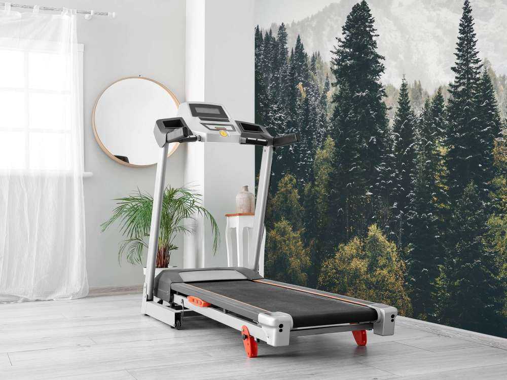 Forêt de conifères