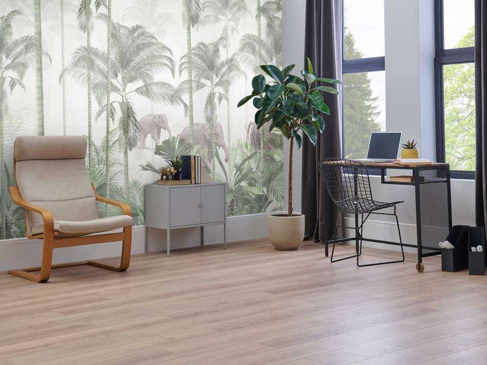 Aurore dans la Sauvage