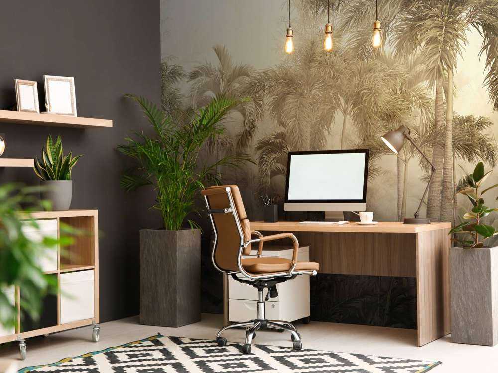 Beauté Brumeuse Tropicale