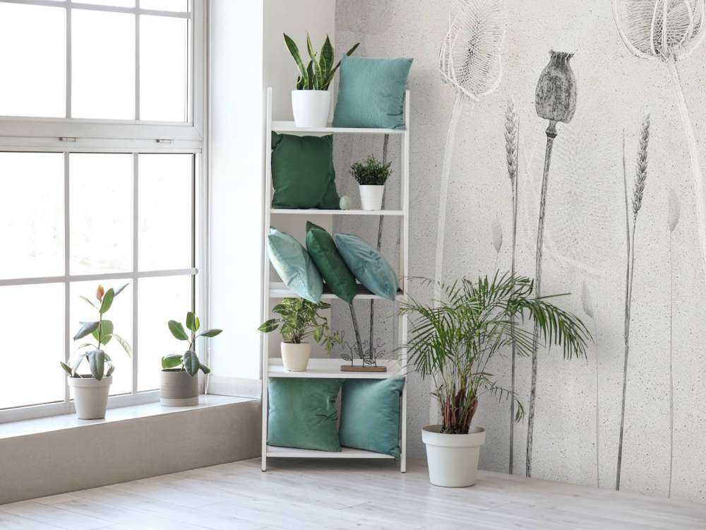 Nature chuchotante Fantômes