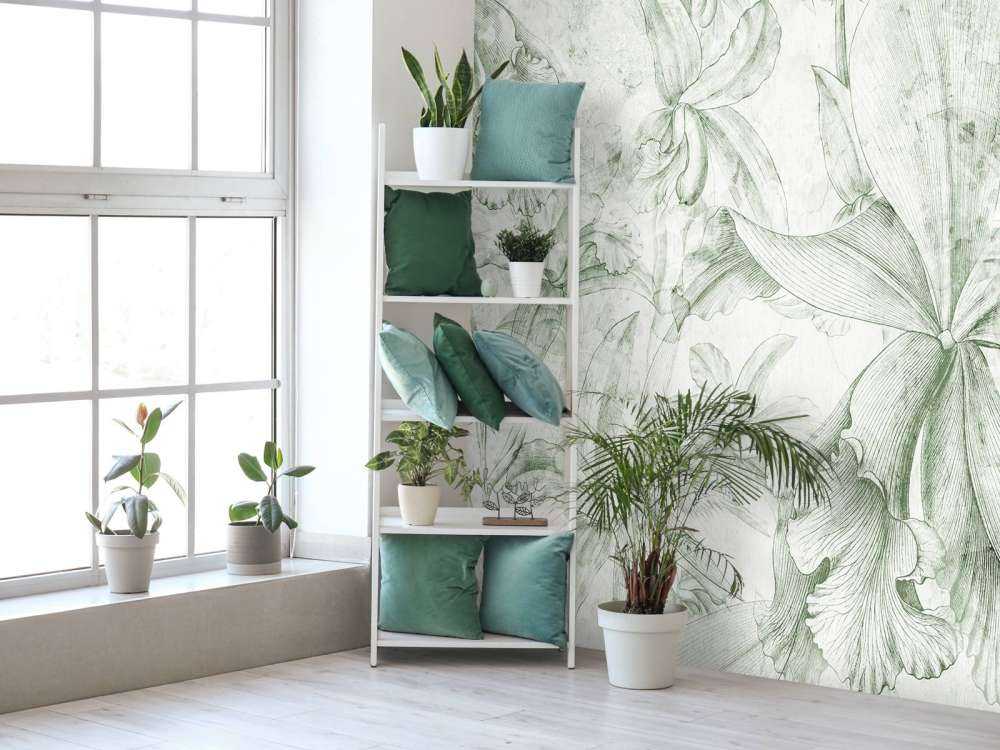 Orchids Contour 4