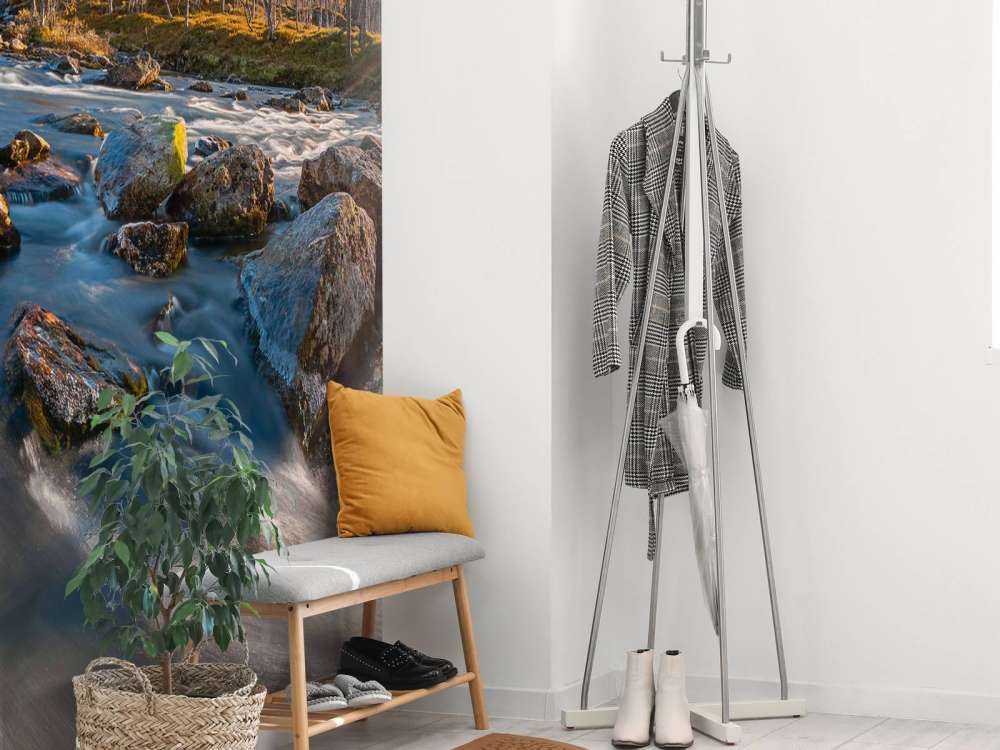 Rivière de montagne