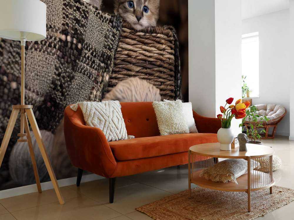 Trois chatons dans un panier