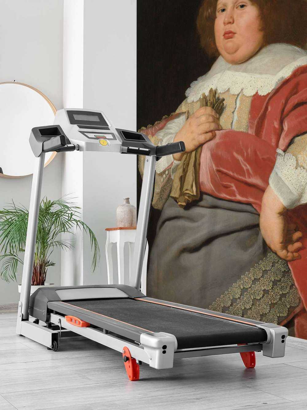 Portrait de Gérard Andriesz Bicker