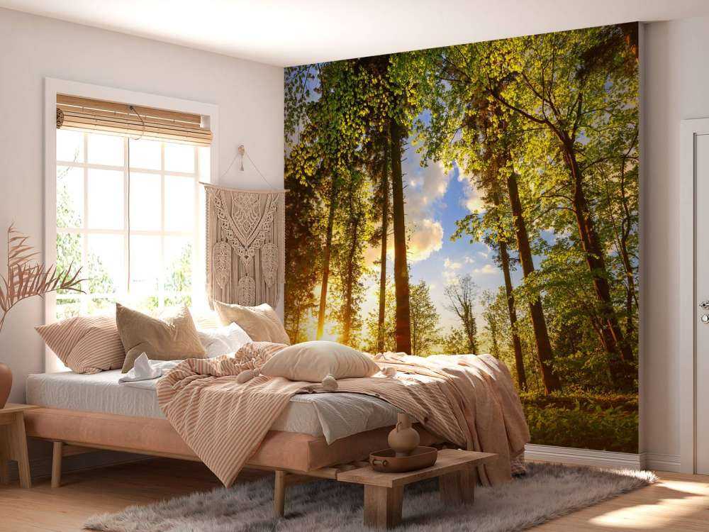 Coucher de soleil à travers les arbres