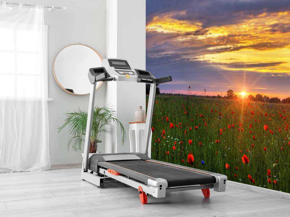 Paysage de coquelicots