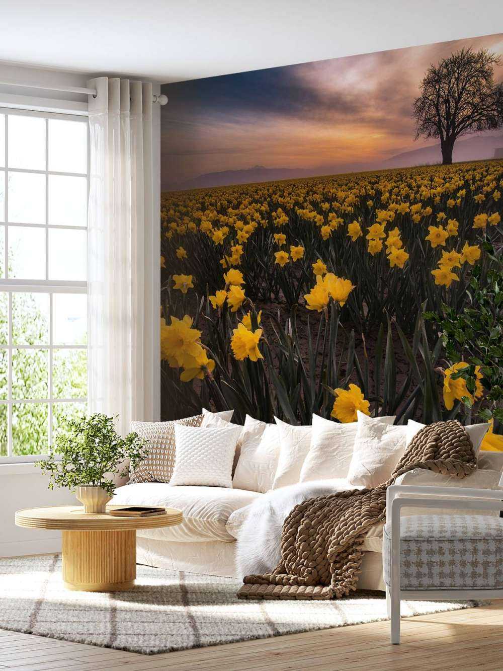 Champ avec jonquilles