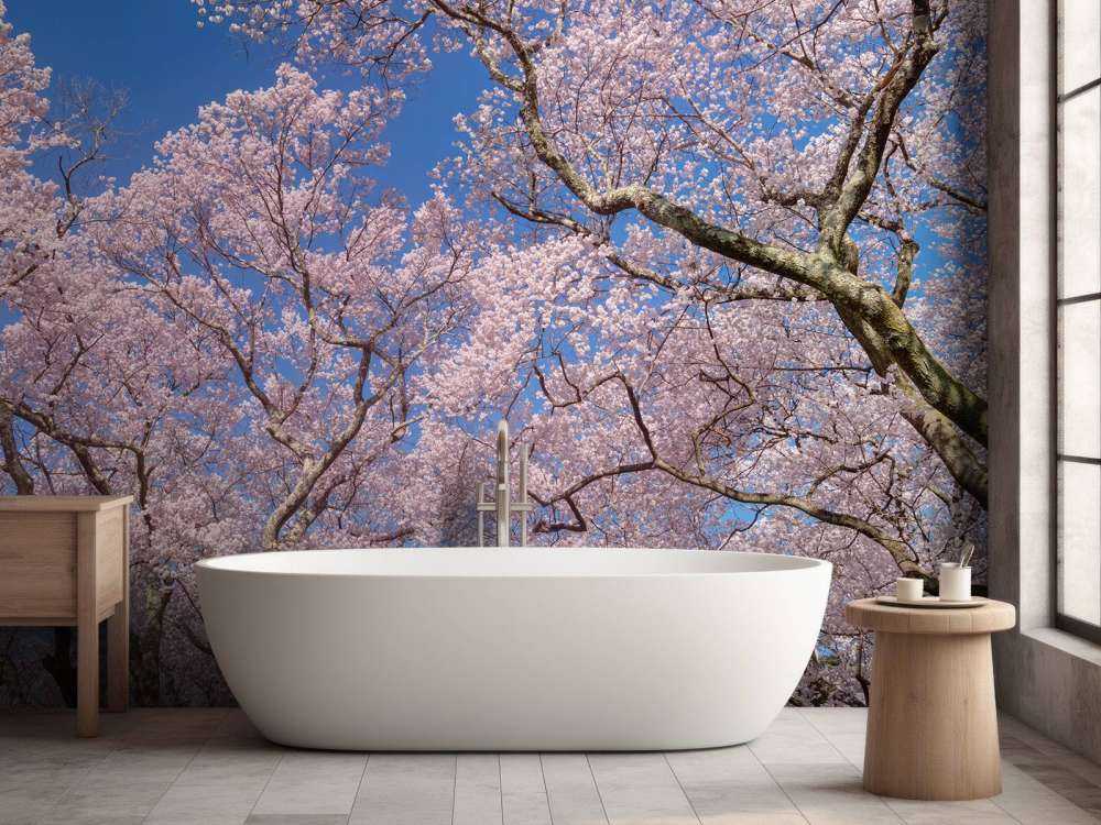 Fleurs avec un ciel bleu