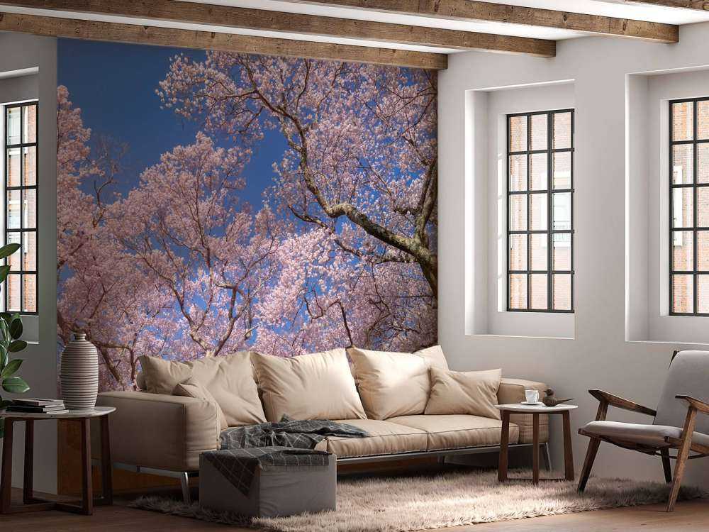 Fleurs avec un ciel bleu