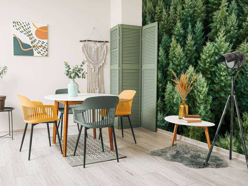 Les sapins de Douglas vus d'en haut