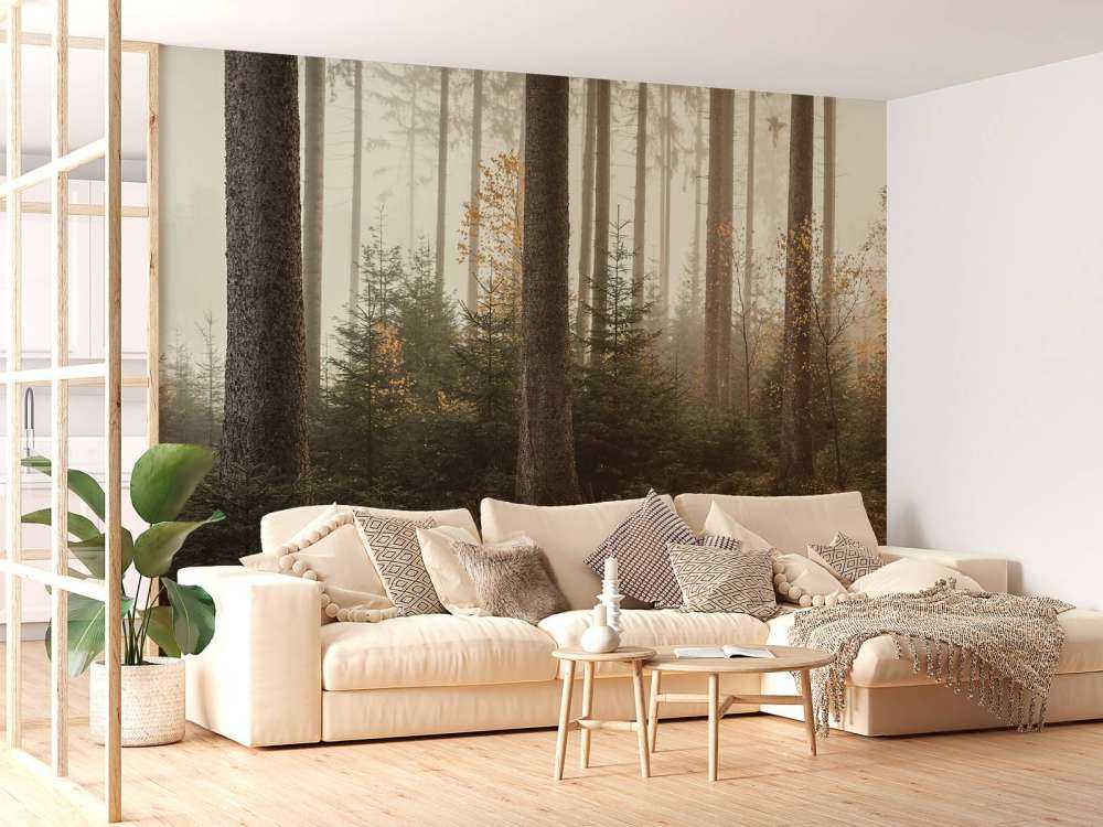 La forêt de Kaufunger