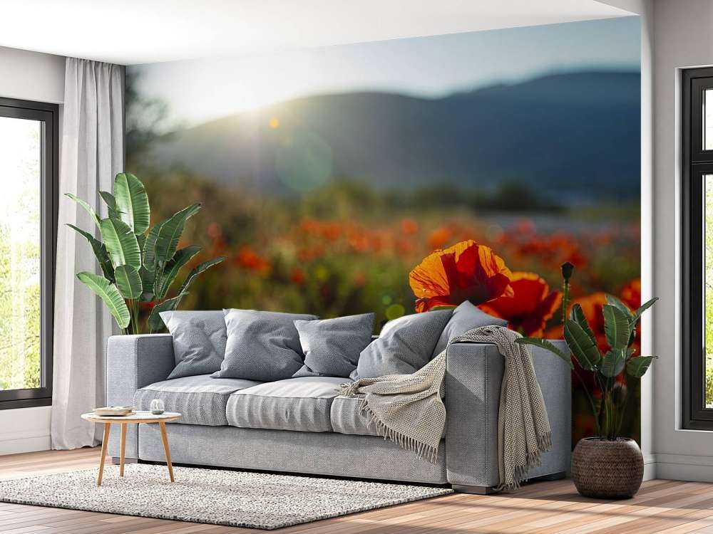 Coquelicots avec rayons de soleil