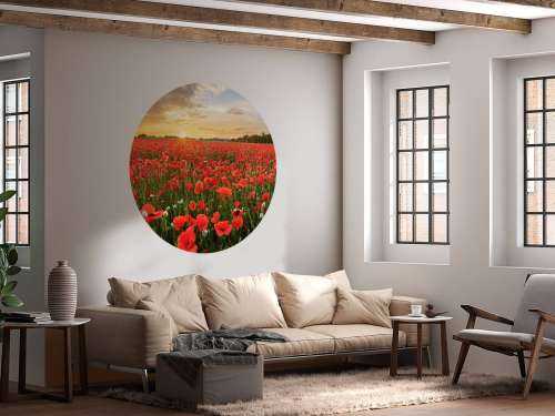 Coucher de soleil avec des coquelicots
