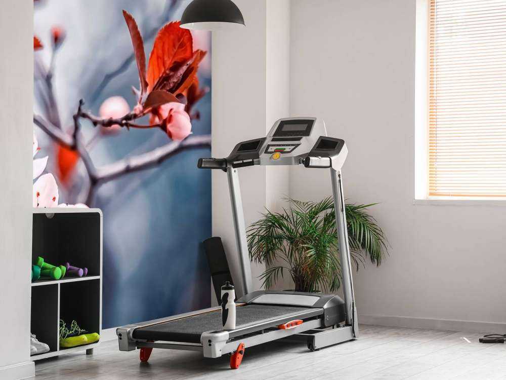 Fleur de cerisier avec des feuilles brun-rouge.