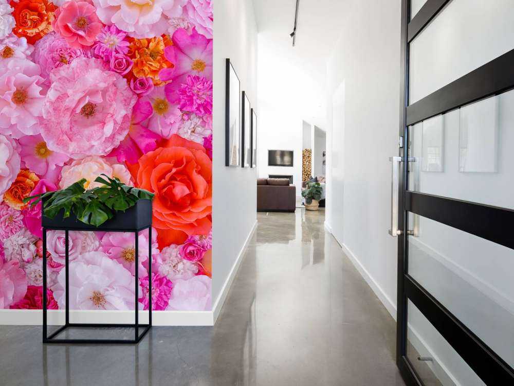 Plein cadre de variété de roses de jardin, fond de fleurs