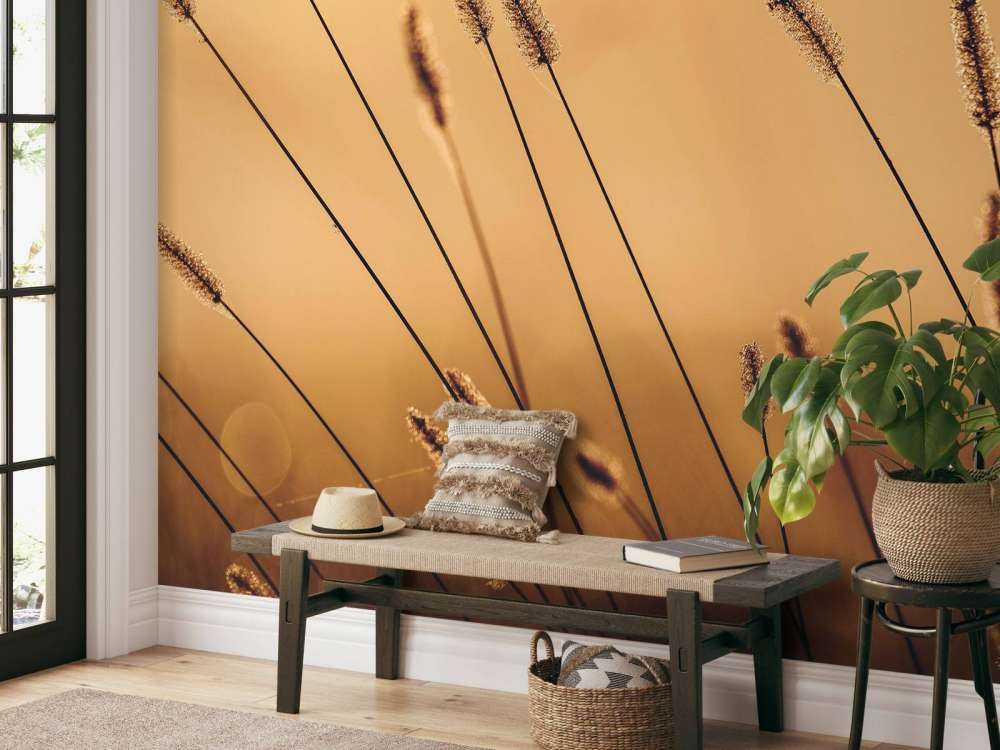 Herbe Murmurante dans le Soleil du Matin