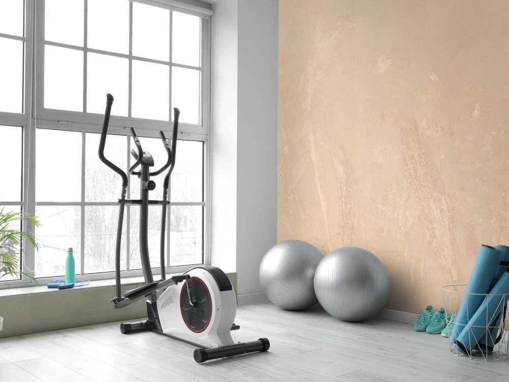 Schapenzuring et saule nain - sépia