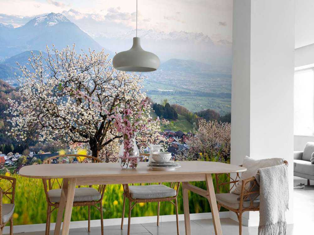Arbre en fleurs dans la vallée de montagne au soleil de printemps.