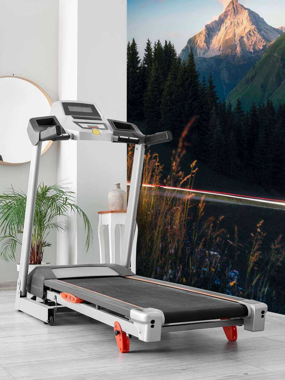 Lumière du soir sur le sommet alpin avec champ de fleurs