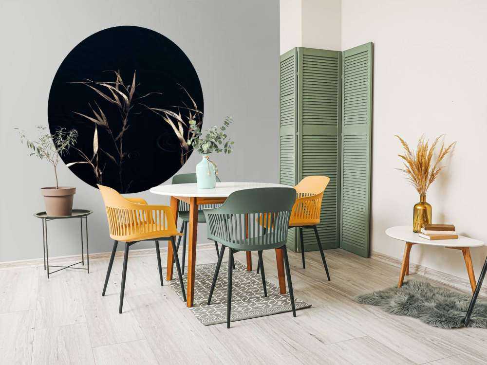 Riet dans l'eau calme