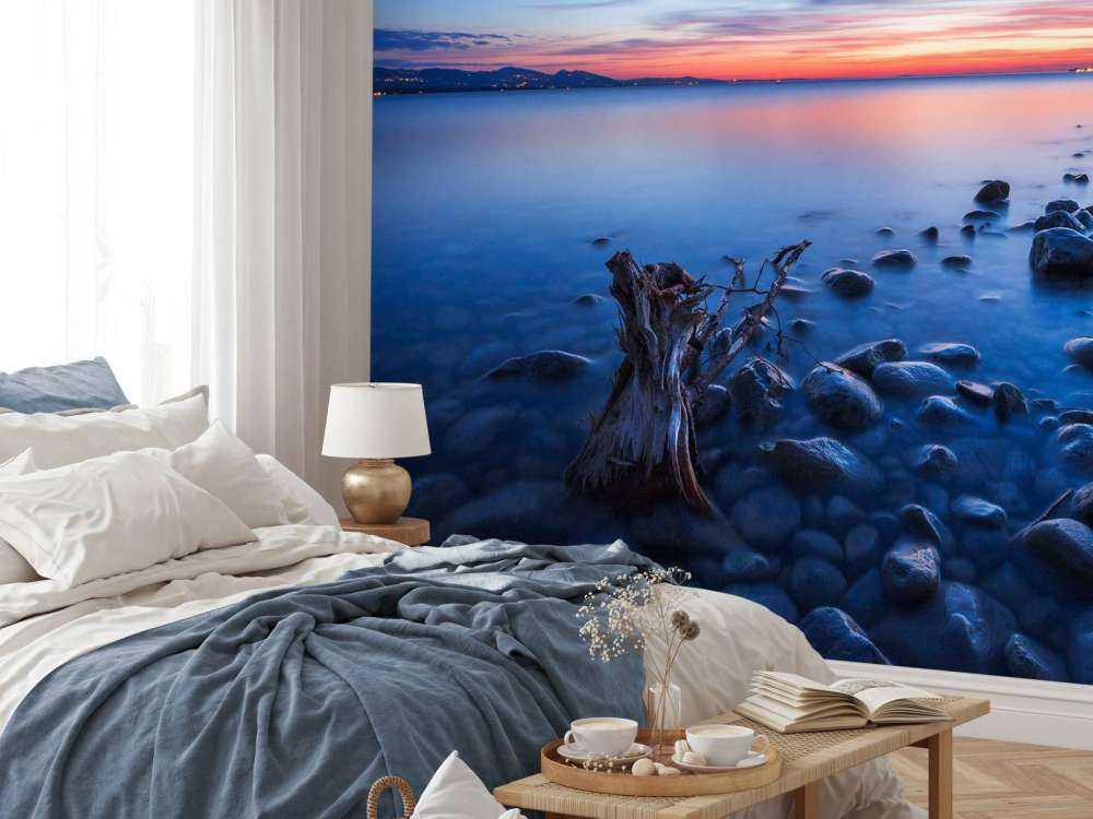 Rive boueuse à la lumière du soir.