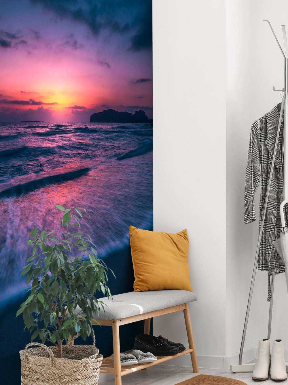 Lueur du soir sur la côte violette