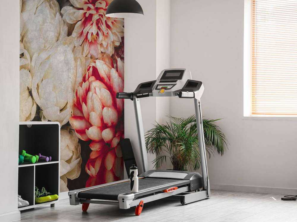 Chrysanthèmes en crème et carmin