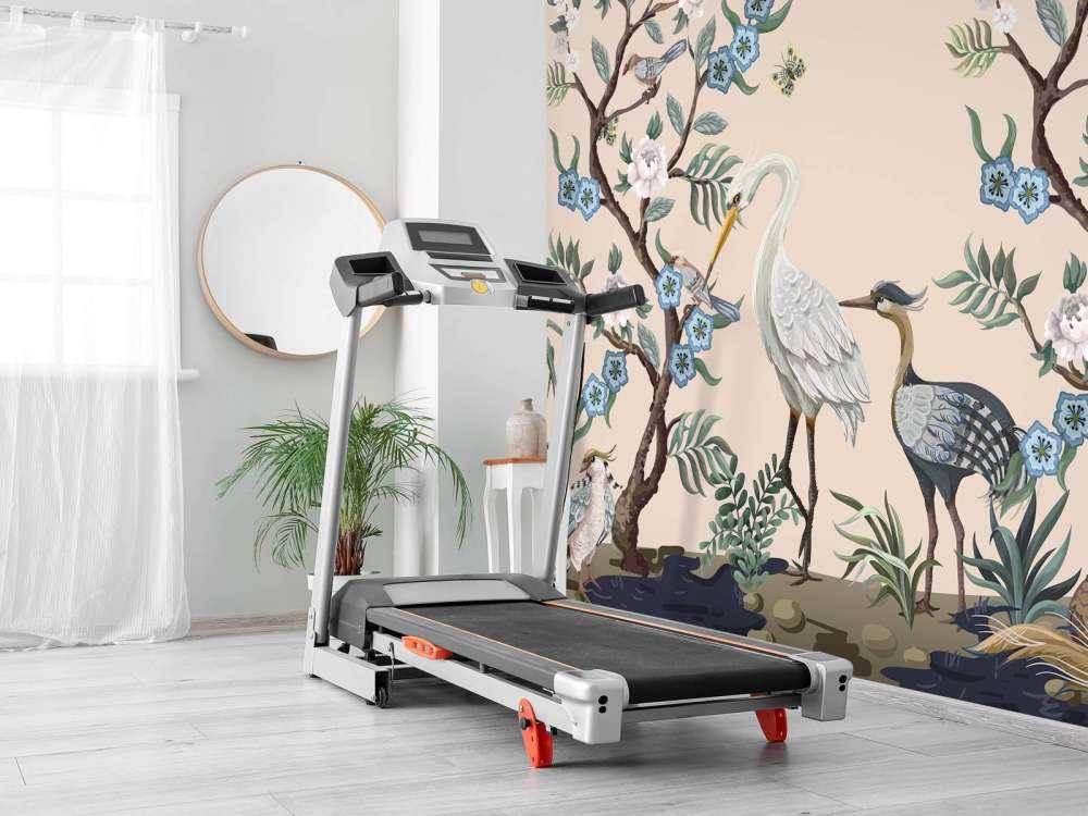 Des hérons colorés