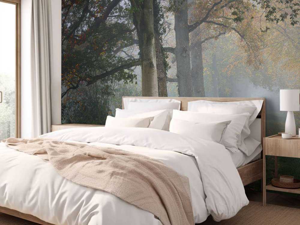 Allée avec des arbres dans le brouillard