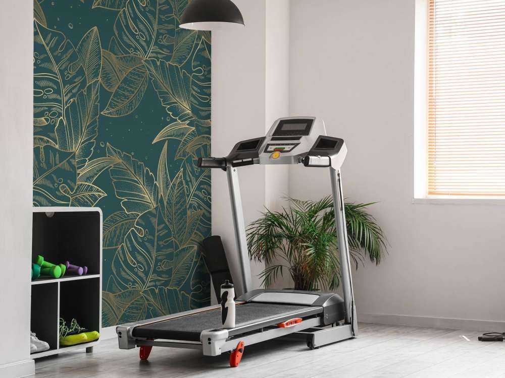 Monstera en pétrole