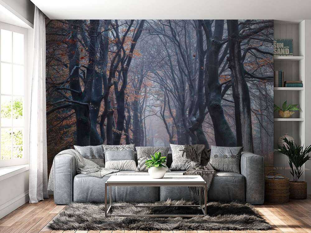 Chemin forestier avec des feuilles