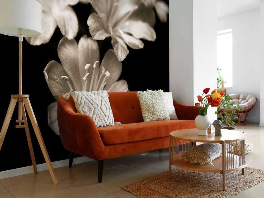 Fleur de lewisia en gros plan