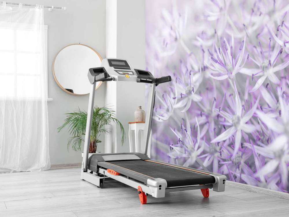 Fleurs d'allium en gros plan