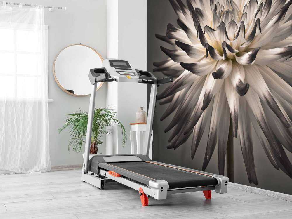 Fleur de dahlia noir et blanc