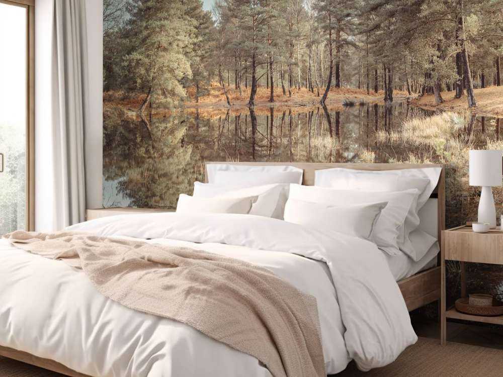 Arbres près d'un lac