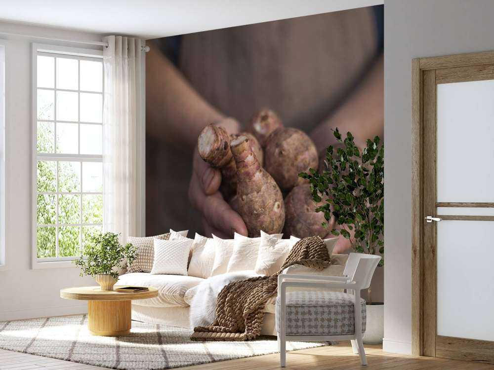 Produits de la terre