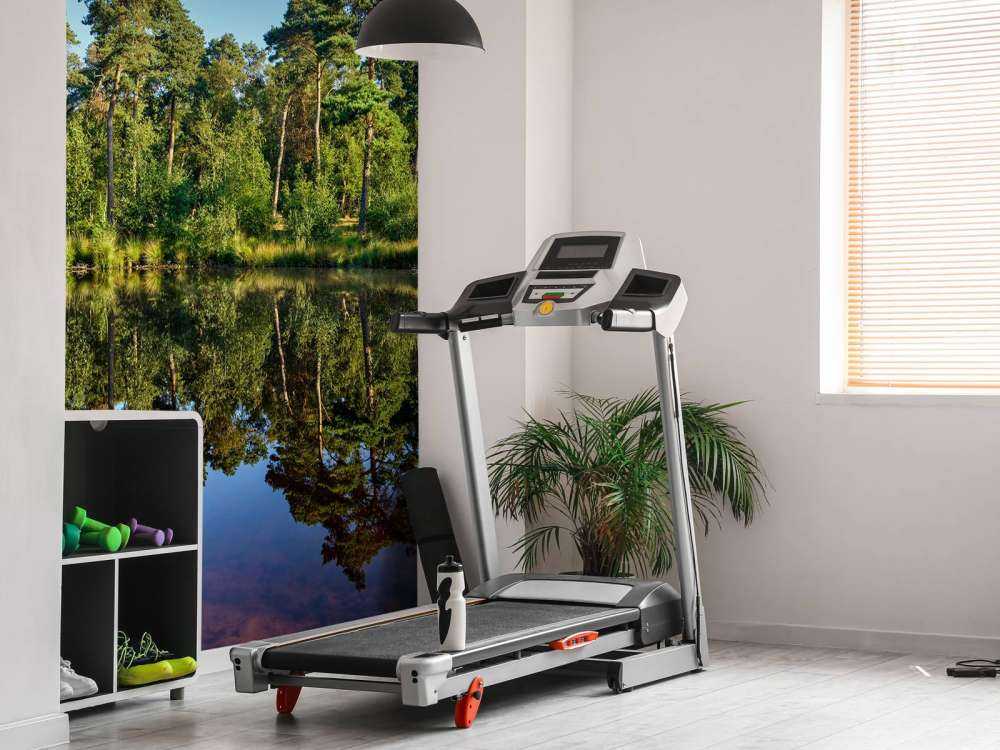 Réflexion dans les bosquets