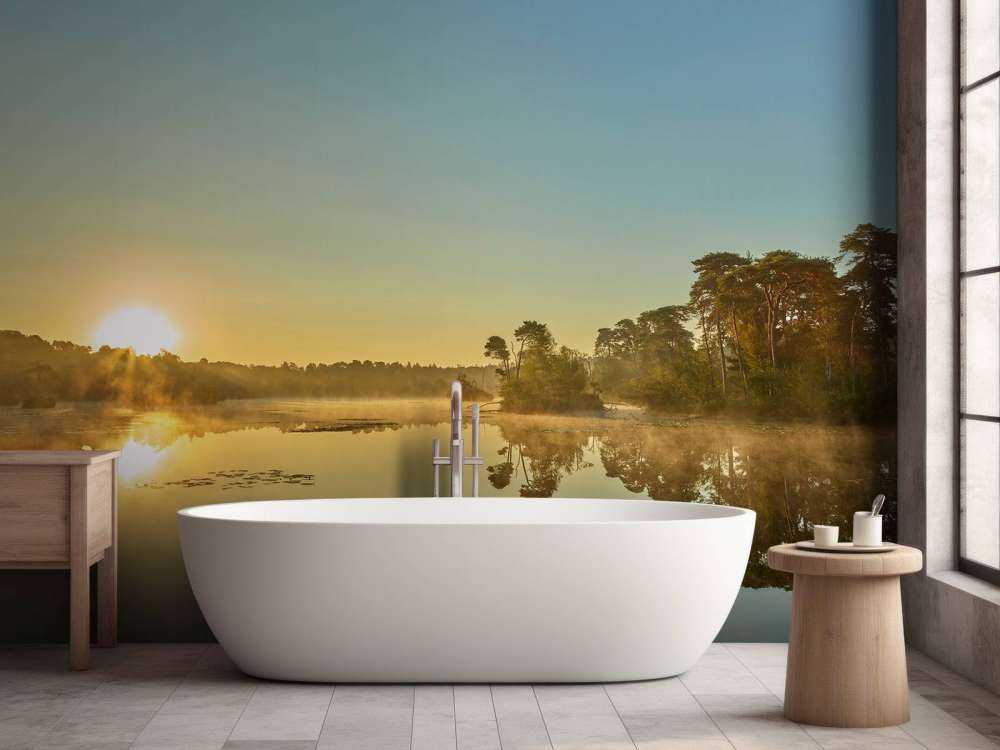 Lever de soleil au lac forestier