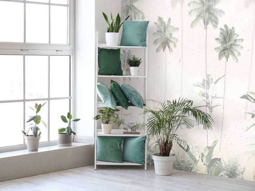 Matin Brumeux Tropical