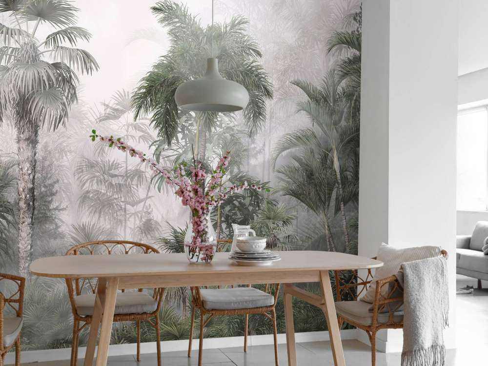 Brume Matinale dans les Tropiques