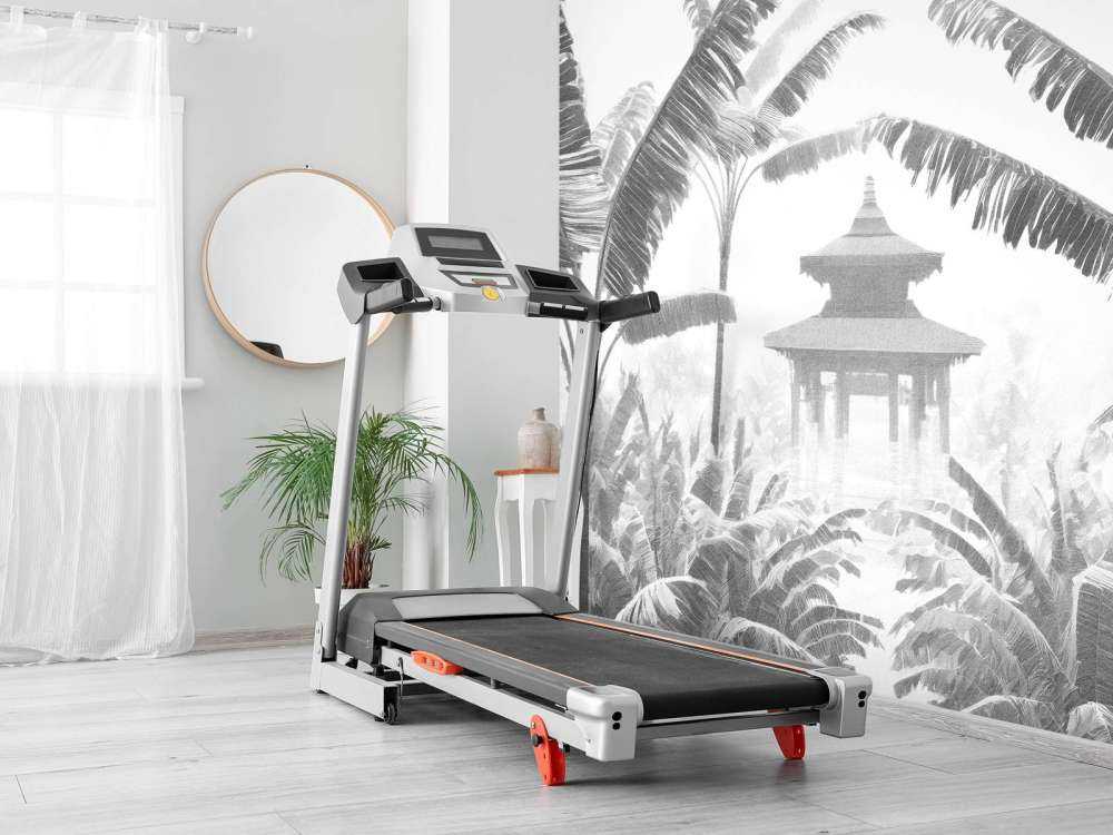 Jardin du Temple Brumeux