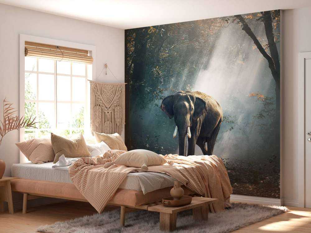 Éléphant dans une jungle