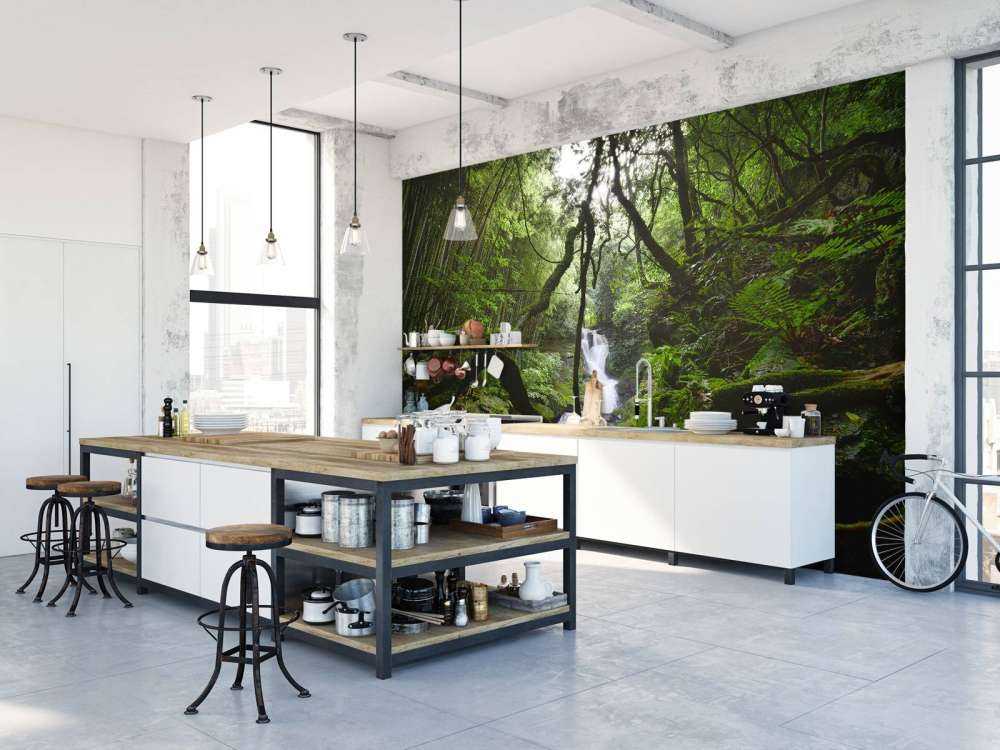 Chute d'eau entourée d'arbres