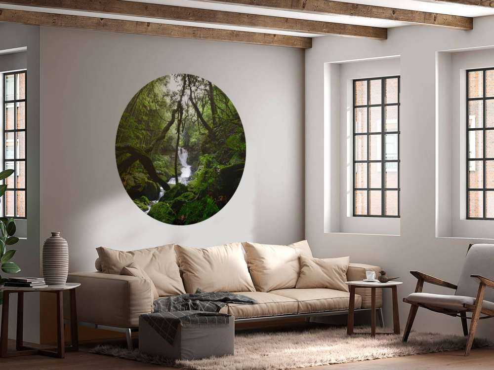 Chute d'eau entourée d'arbres