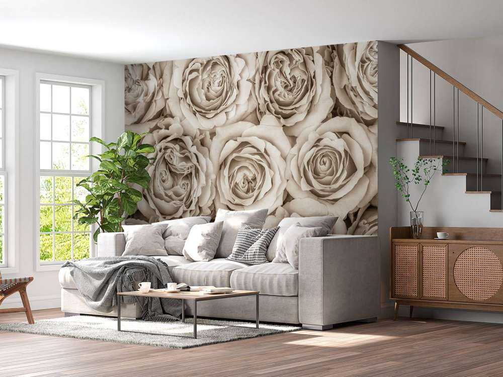 Fond d'écran de roses