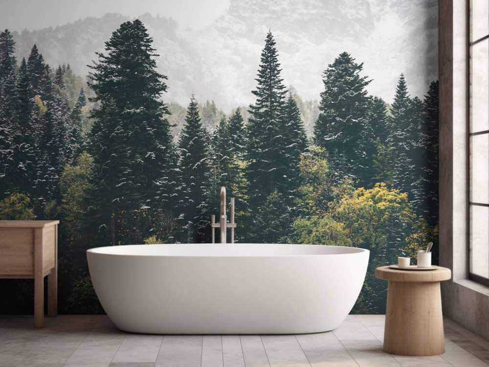 Forêt de conifères