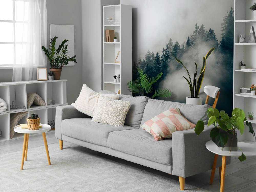 Réveil alpin brumeux