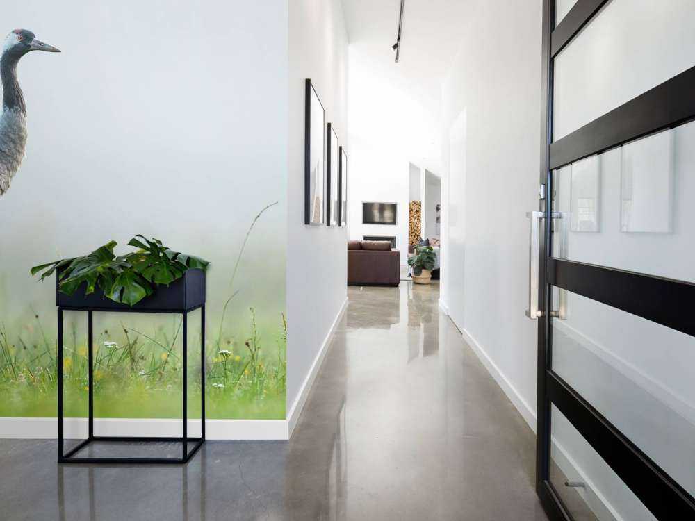 Grue dans la brume du matin